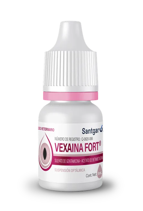 Vexaina Fort gentamicina + betametasona suspensión oftálmica