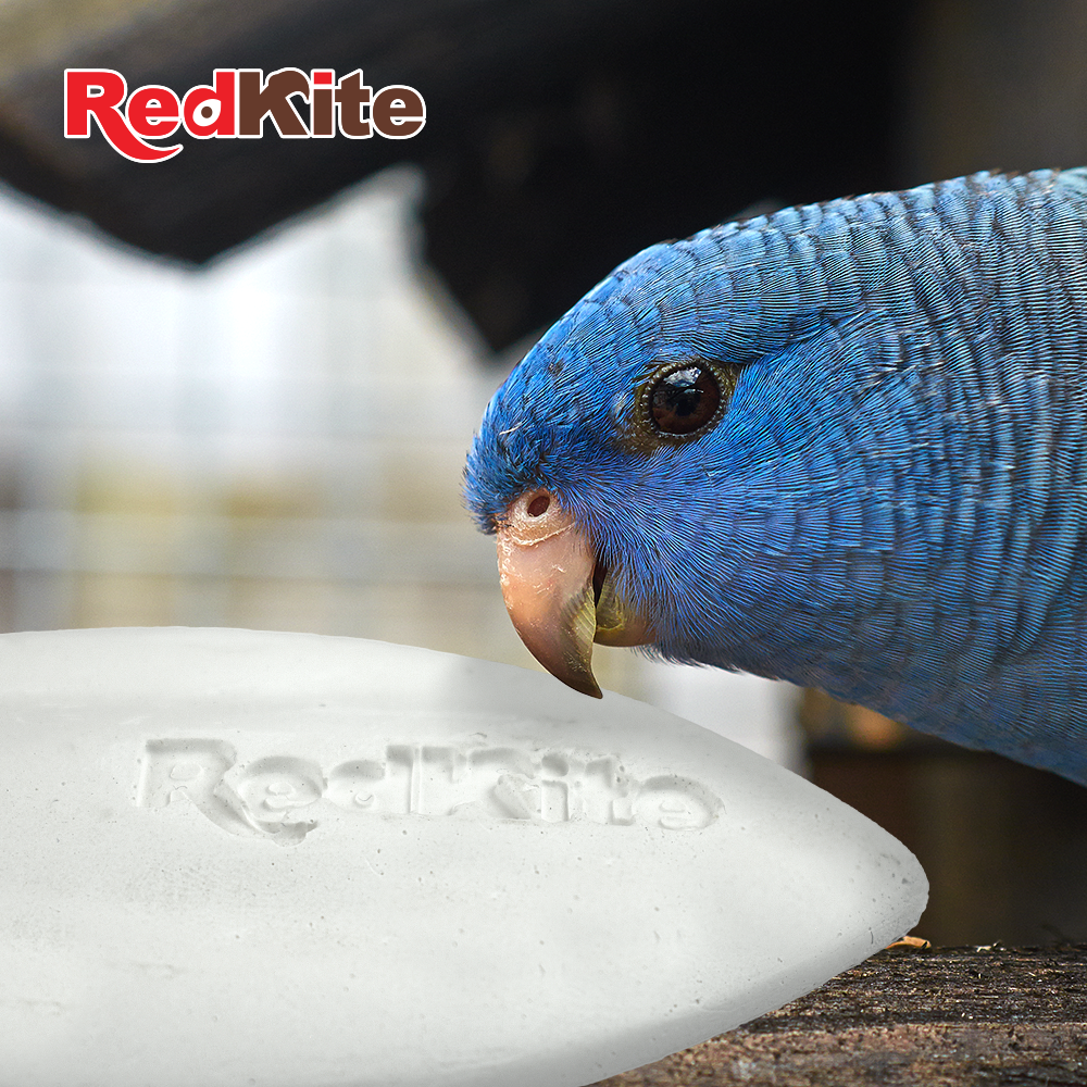 Chicos Redkite Hueso de Jibia para Aves