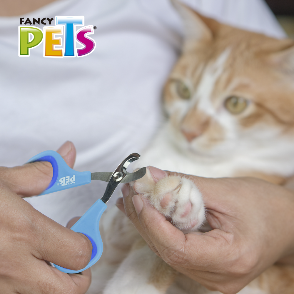 Kudi Tijera Cortauñas Expert Chico para Gato