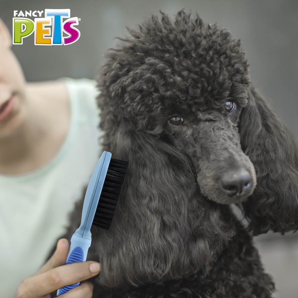 Kudi Cepillo Chico para Perro