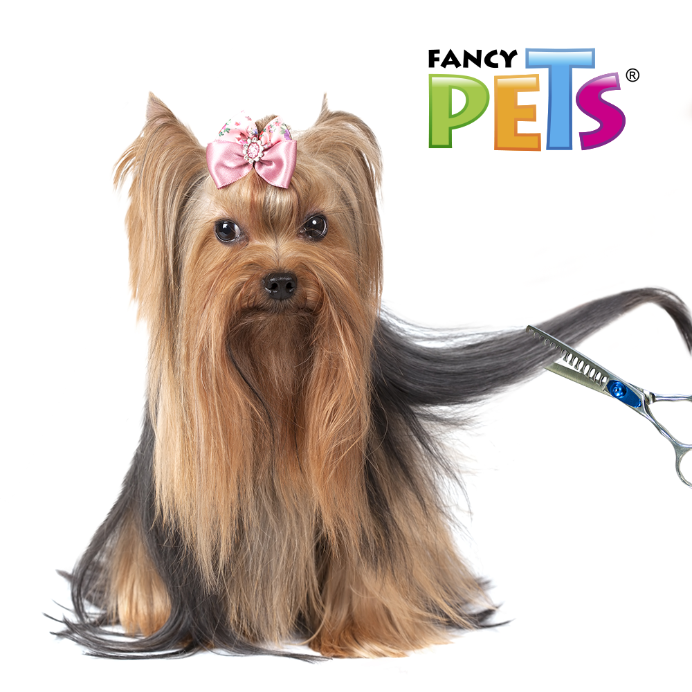 Kudi Tijera Blender para Perro