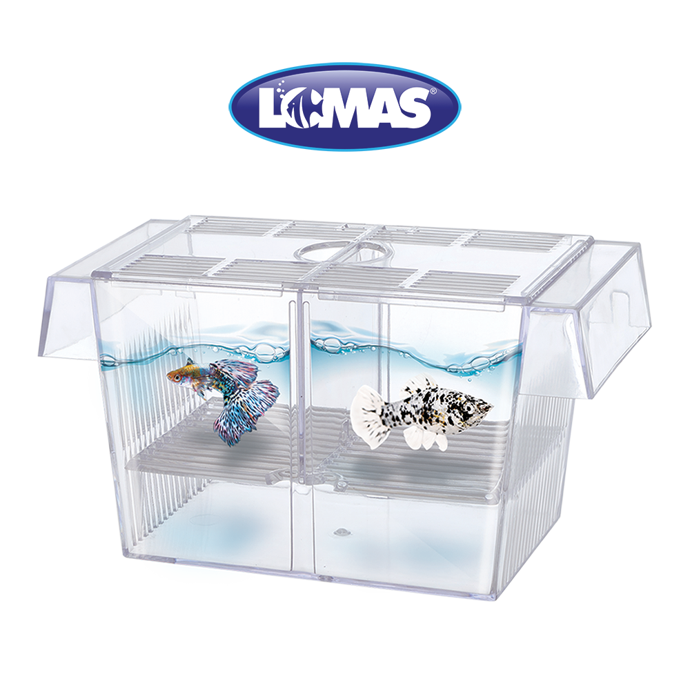 Chicos Maternidad Flotante 1.4 L para Peces
