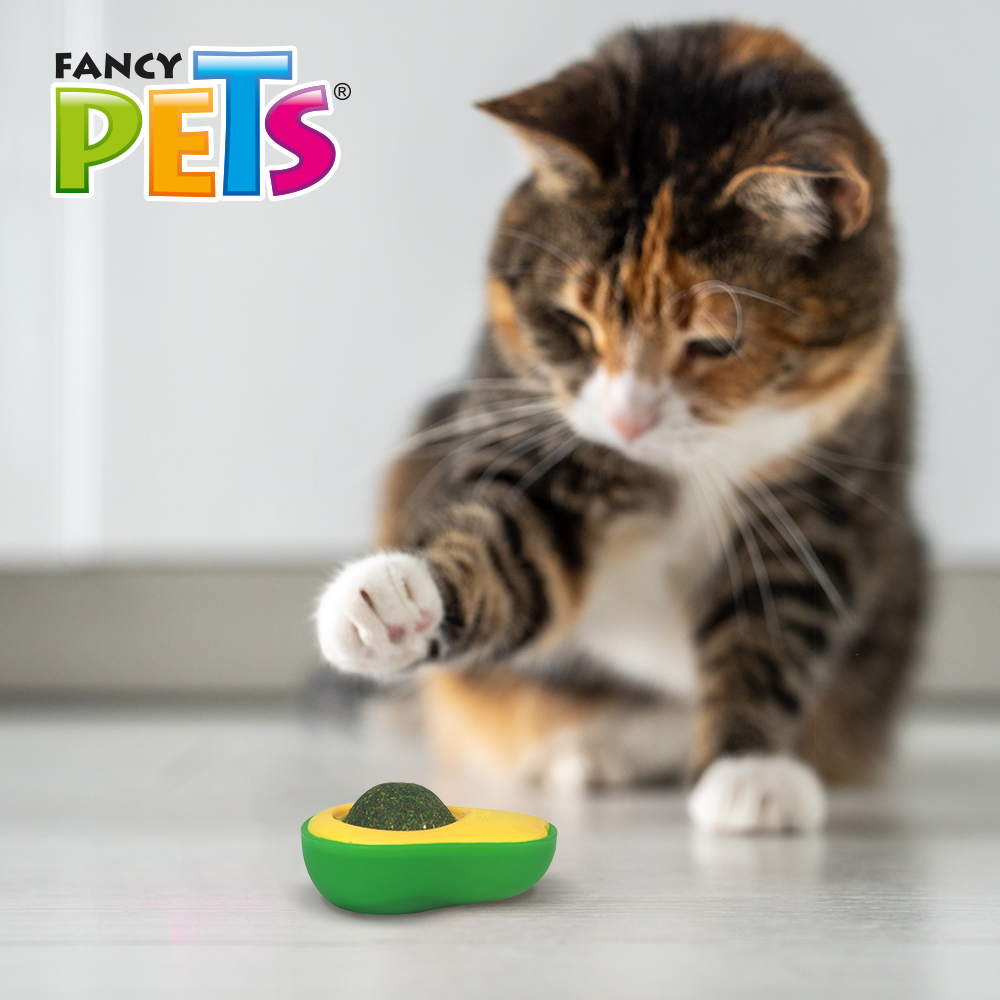 Chicos Play Juguete Aguacate con Bola de Catnip para Gato