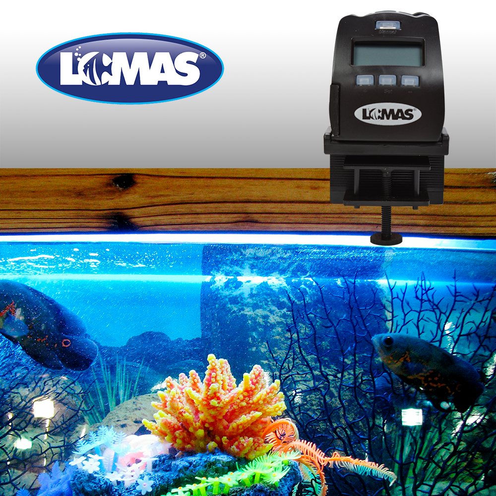 Jinjiang Alimentador Automatico para Peces