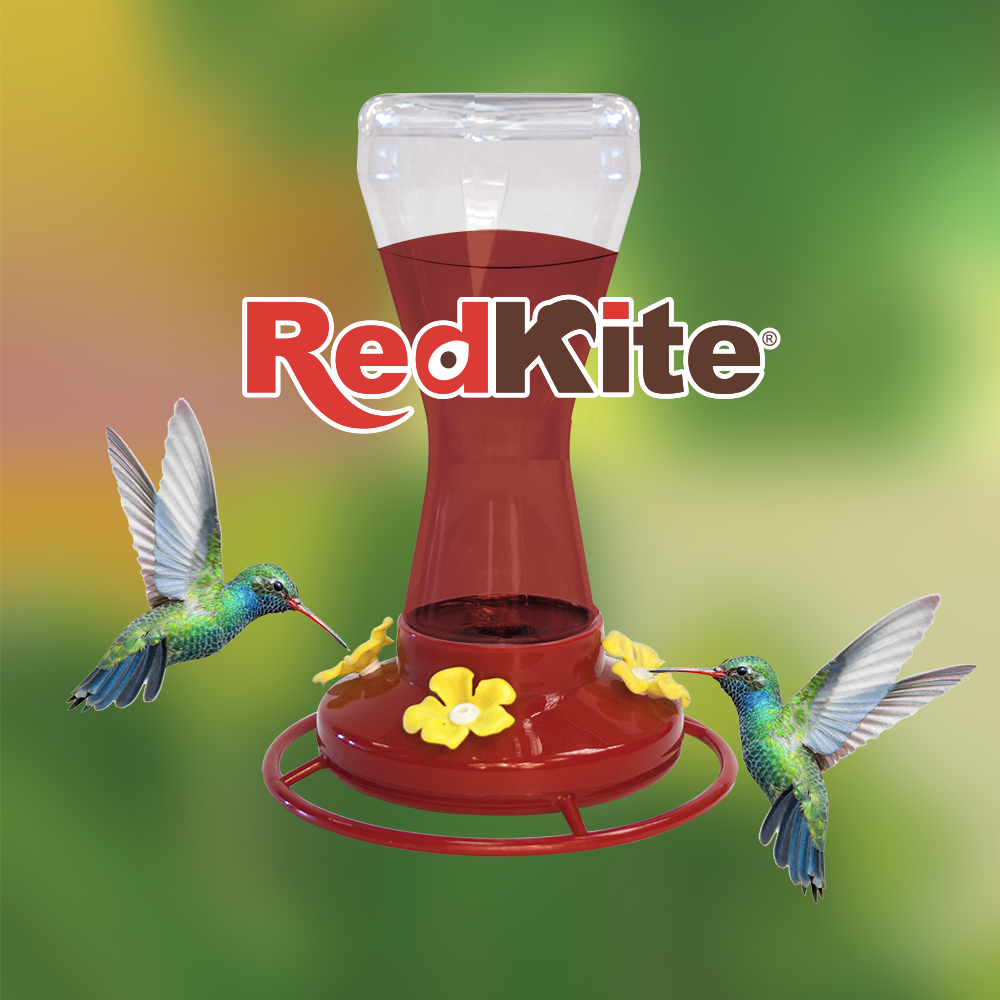 Huazhijie Bebedero Natural para Colibri 470 ml