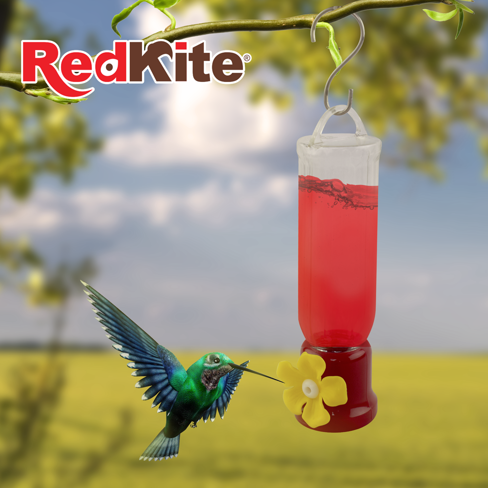 Huazhijie Bebedero Mini para Colibri 68 ml