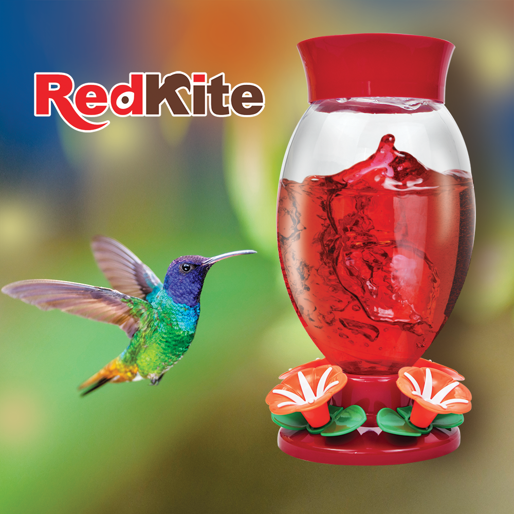 Huazhijie Bebedero con Hibiscos para Colibri 2 L
