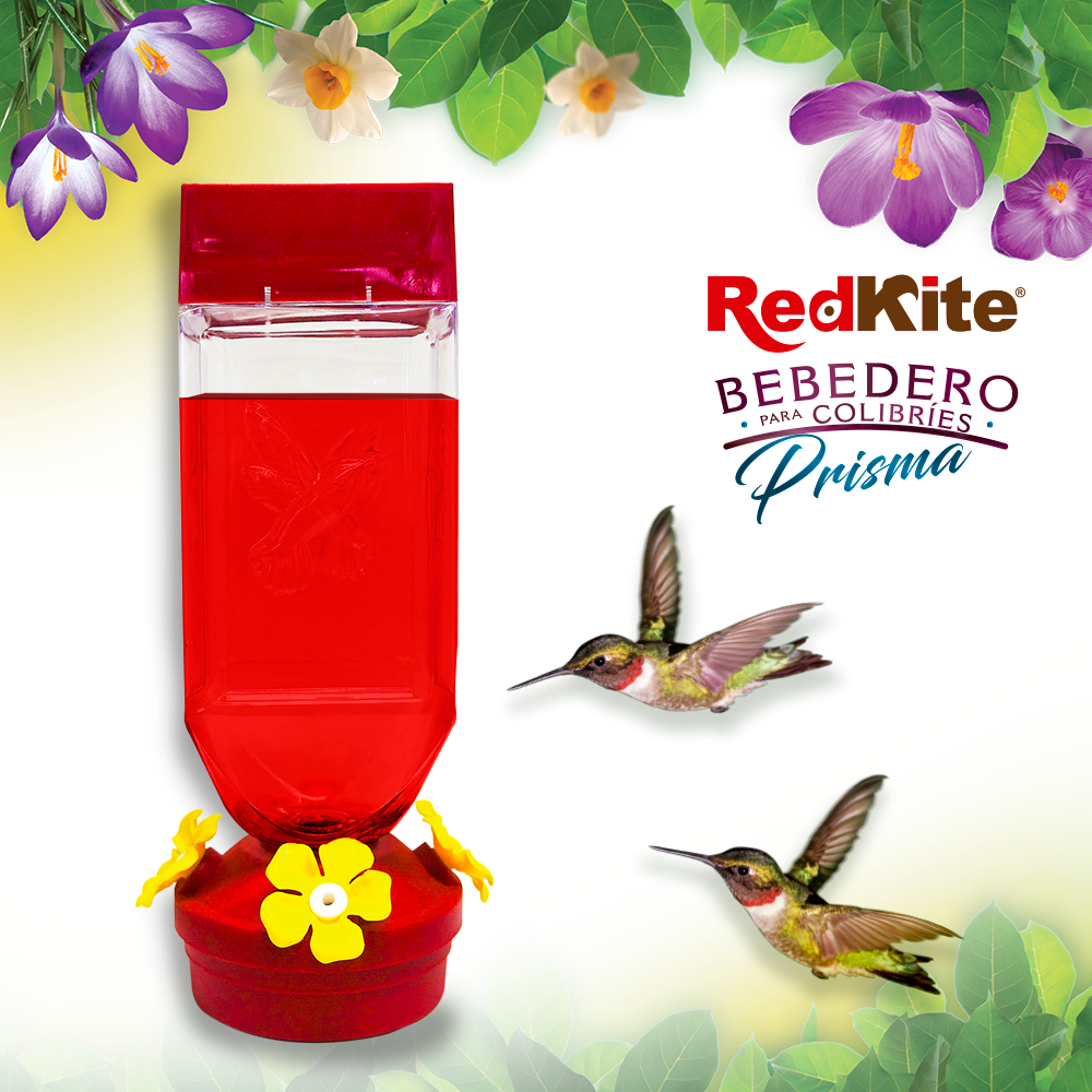 Huazhijie Bebedero Rubi para Colibri 530 ml