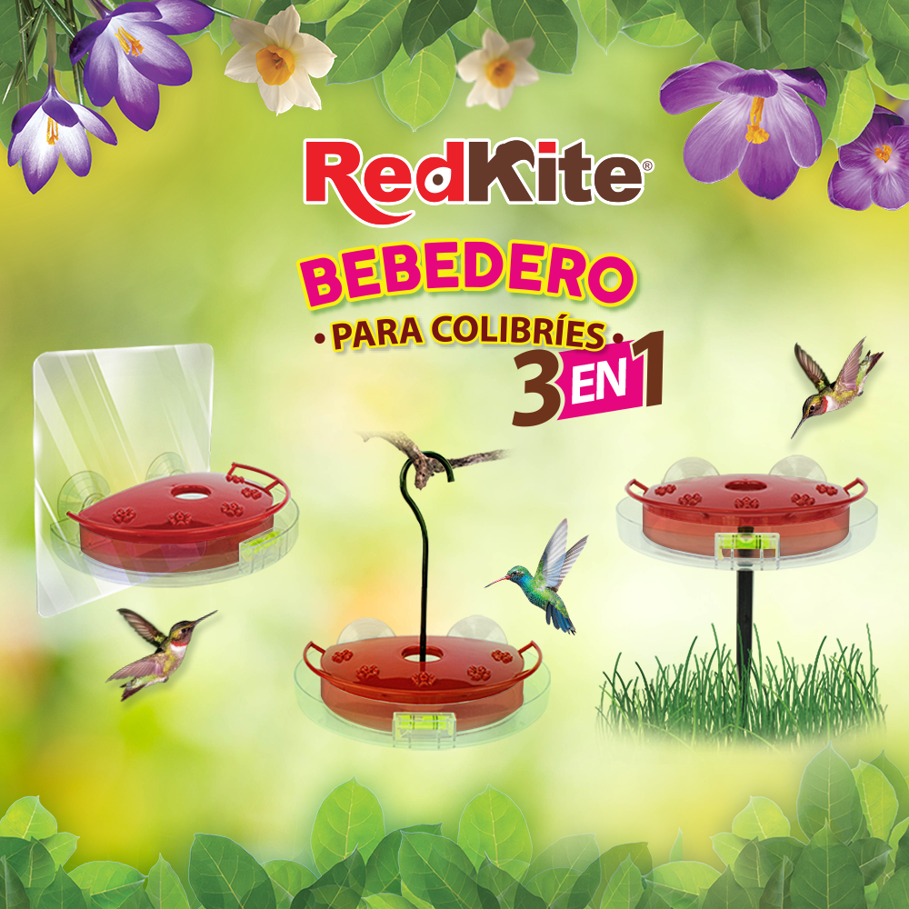 Huazhijie Bebedero 3 en 1 para Colibri 380 ml