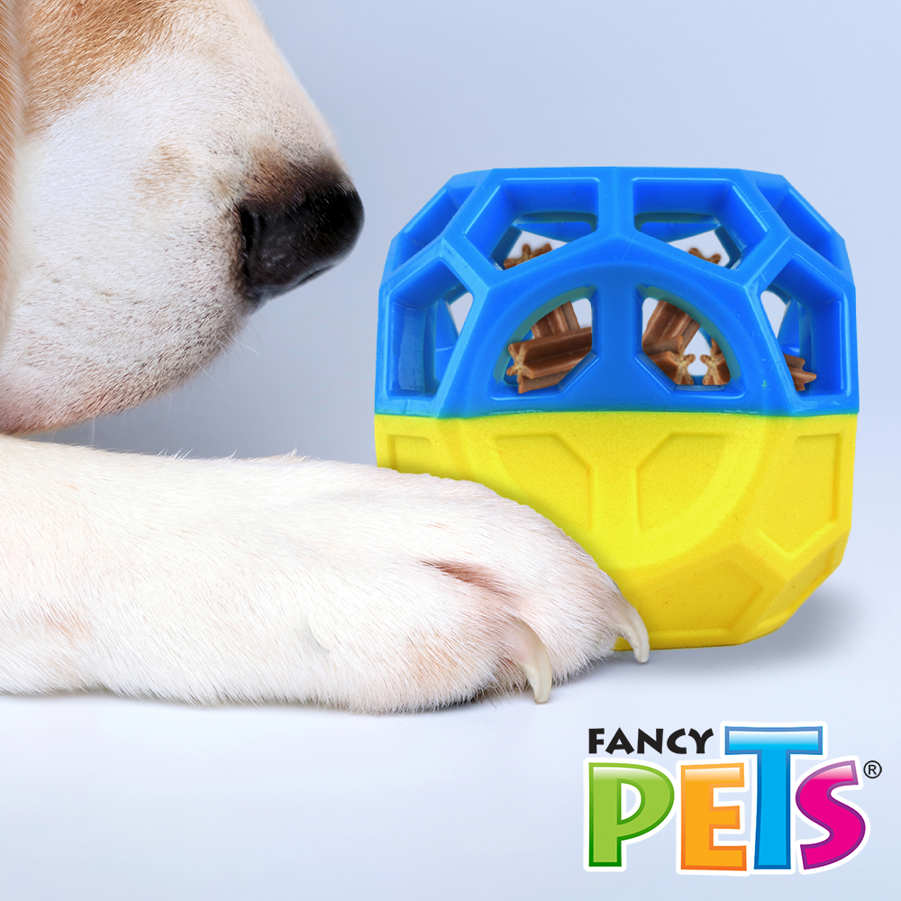Petsound Juguete Cubo Treats para Perro