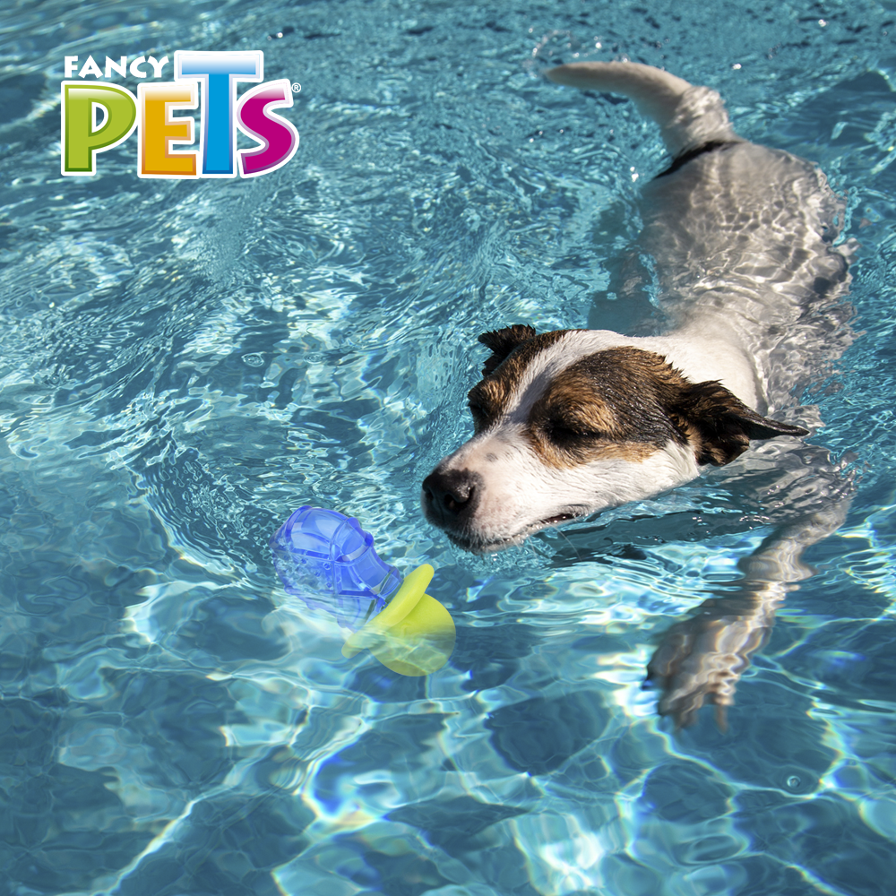 Petsound Juguete Chupon Congelable Cool para Perro