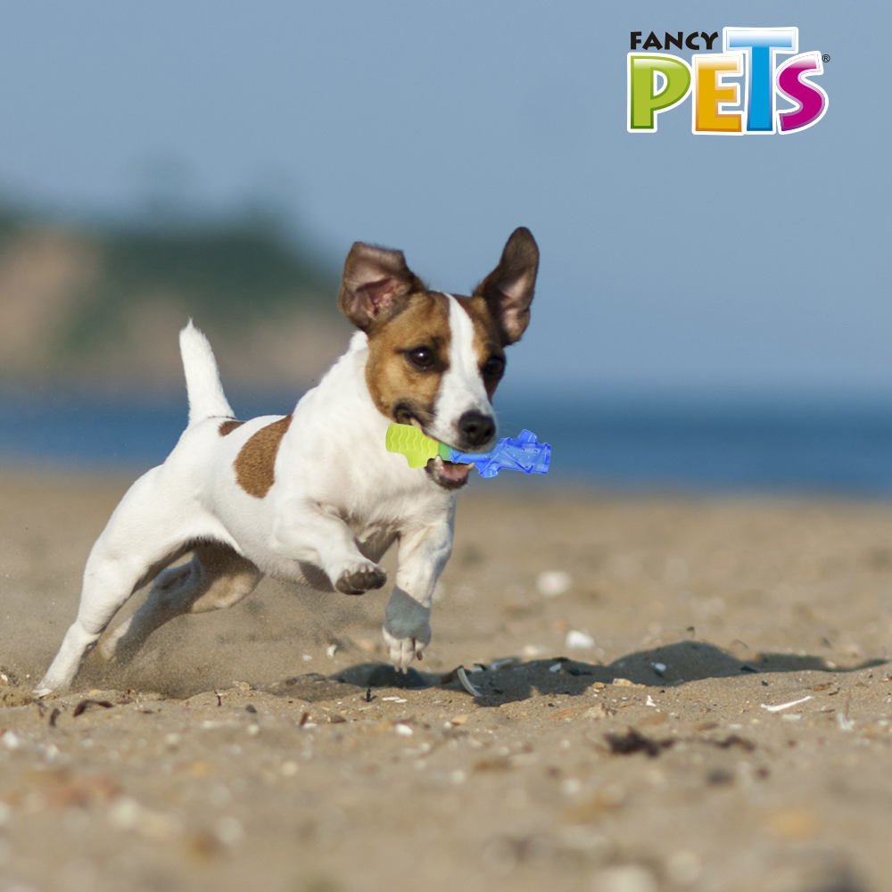Petsound Juguete Tronco Congelable Cool para Perro