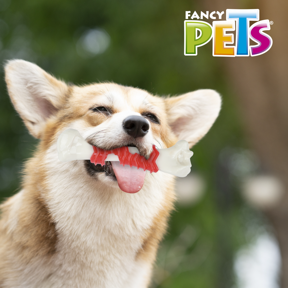 Petsound Juguete Femur Chico Sabor Tocino para Perro