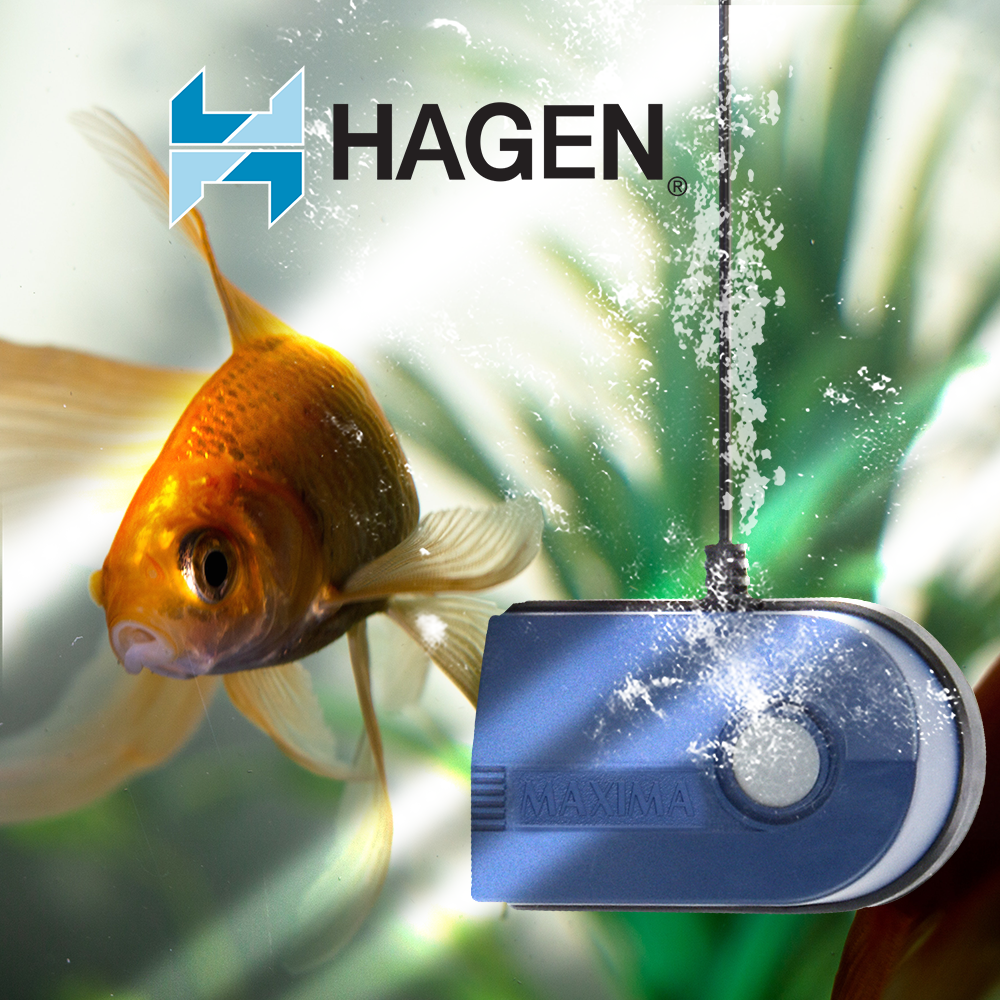 Hagen Bomba Maxima-R 30 gal (113.5 L) para Peces