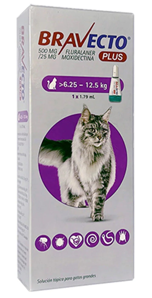 Bravecto Plus Gato