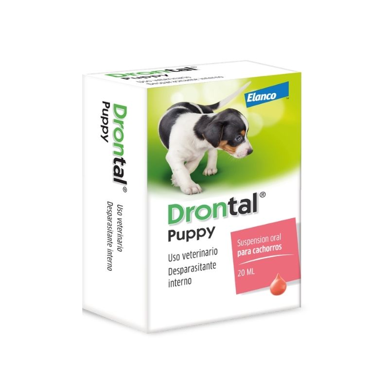 Drontal Puppy Suspensión