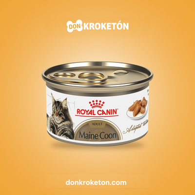 Royal Canin Maine Coon Thin Slices Gato - imagen comercial Don Kroketon