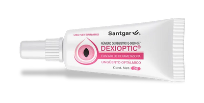 Dexioptic dexametasona ungüento oftálmico