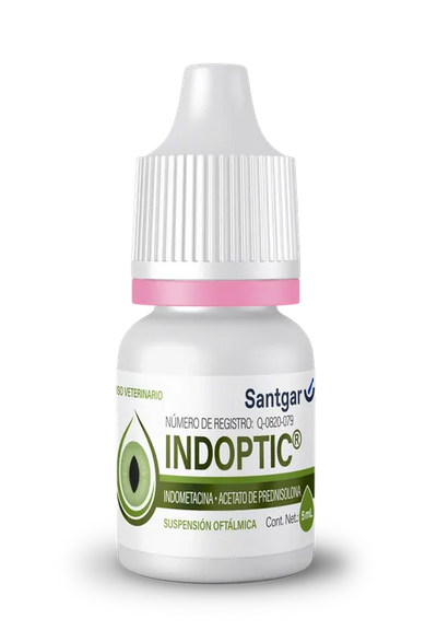 Indoptic indometacina + prednisolona suspensión oftálmica