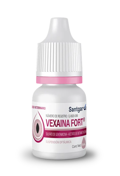 Vexaina Fort gentamicina + betametasona suspensión oftálmica