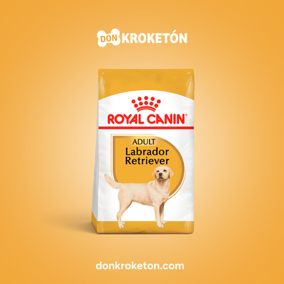 Royal Canin Labrador Adulto 13.6kg