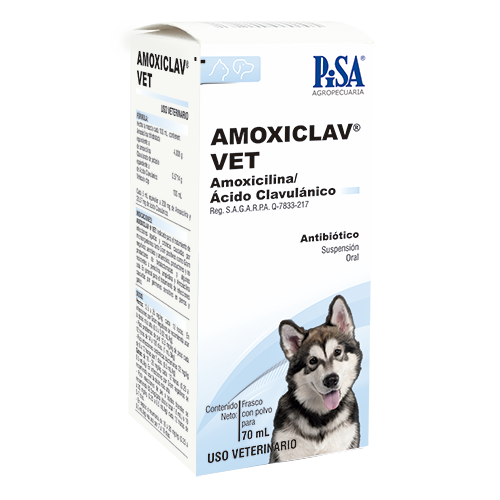 Amoxiclav Vet