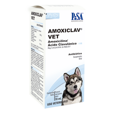 Amoxiclav Vet