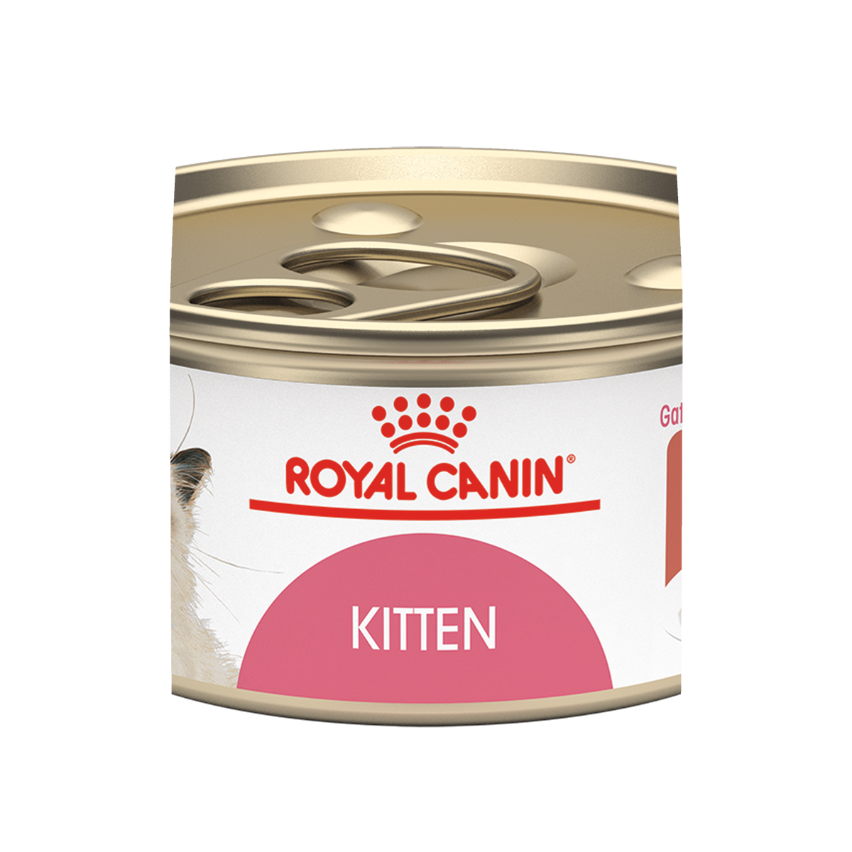 Royal Canin Kitten Thin Slices