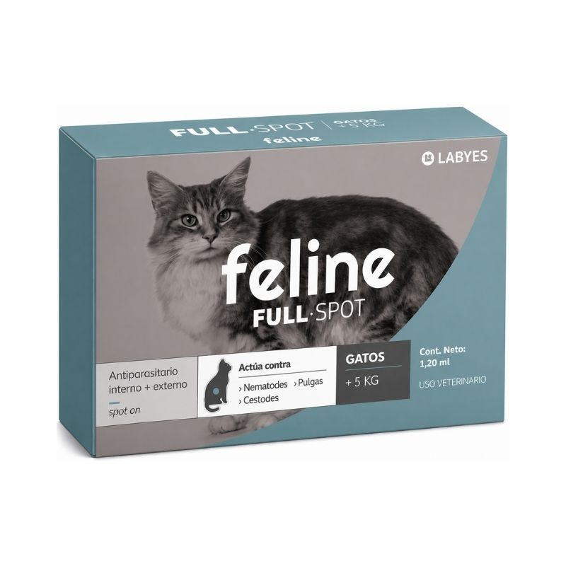 Feline Full Spot
