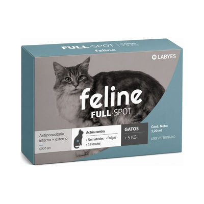 Feline Full Spot