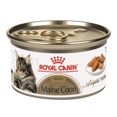 Royal Canin Maine Coon Thin Slices Gato
