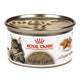 Royal Canin Maine Coon Thin Slices Gato