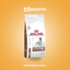 Royal Canin GastroIntestinal Hi Energy - imagen comercial Don Kroketon