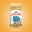 Royal Canin Bulldog Ingles Cachorro - imagen comercial Don Kroketon