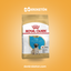 Royal Canin Pug Cachorro - imagen comercial Don Kroketon