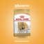 Royal Canin Pug Adulto 4.5kg - imagen comercial Don Kroketon
