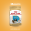 Royal Canin Shih Tzu Cachorro 1.1kg - imagen comercial Don Kroketon
