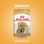Royal Canin Shih Tzu Adult - imagen comercial Don Kroketon