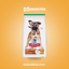 Hills Cachorro Raza Grande - imagen comercial Don Kroketon
