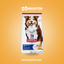Hills Senior Med/Gde - imagen comercial Don Kroketon