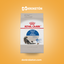Royal Canin Gato Indoor 3.1kg - imagen comercial Don Kroketon
