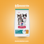 Hills Kitten Indoor - imagen comercial Don Kroketon