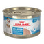 Royal Canin Starter Mother & Babydog Mousse Lata