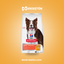 Hills Adulto Perfect Digestion Cuidado Digestivo - imagen comercial Don Kroketon