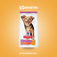 Hills Adulto Chico Perfect Digestion Cuidado Digestivo - imagen comercial Don Kroketon