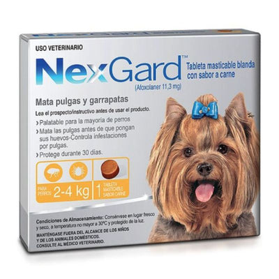NexGard Perro