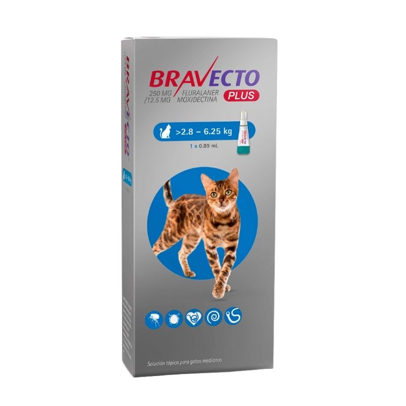 Bravecto Plus Gato