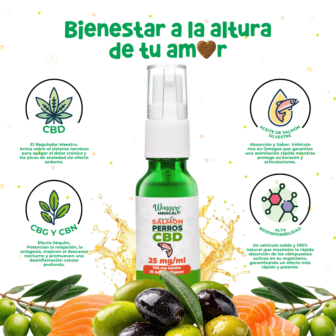 Waggy's Aceite Calmante Oliva para Perros