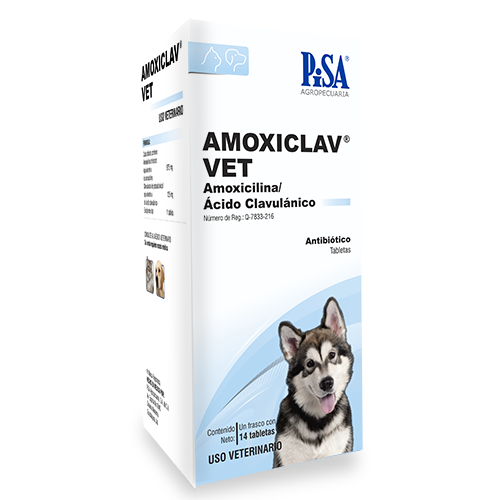 Amoxiclav Vet