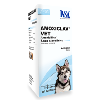 Amoxiclav Vet